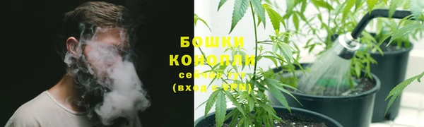 прущий лед Карпинск