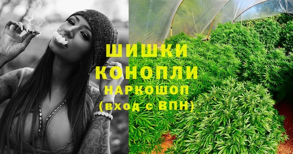 прущий лед Карпинск